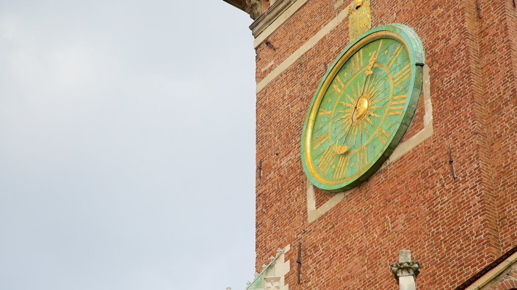 Wawel Cathedral featuring a church or cathedral