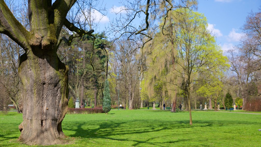 Parque Jordan ofreciendo jardín