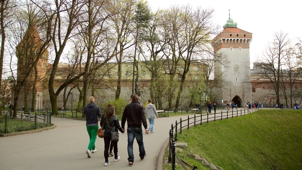 Planty-parken som viser en park såvel som en lille gruppe mennesker