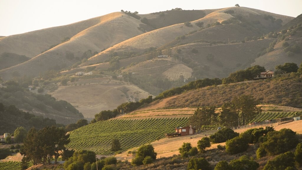 Salinas Valley Wine - See Monterey
