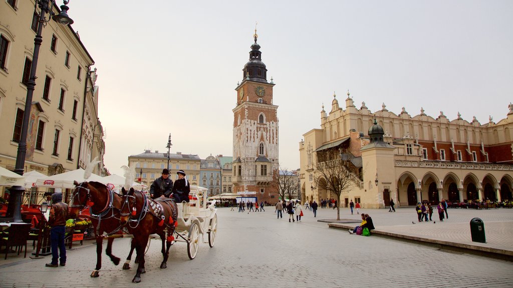 Town Hall Tower showing markets and a square or plaza