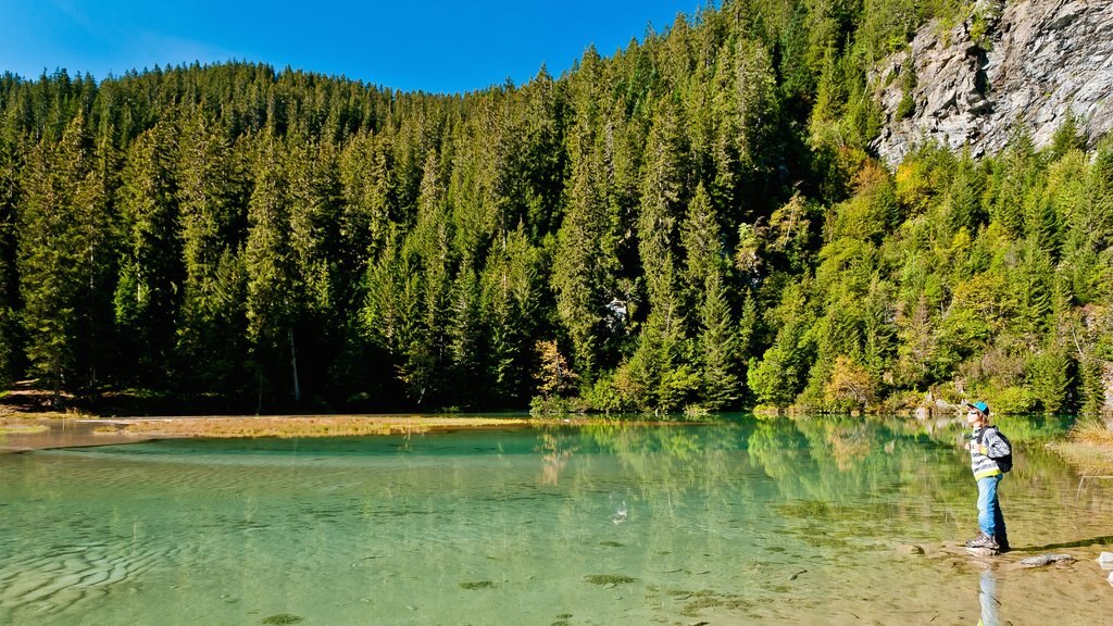 Area sciistica di Courchevel mostrando lago o sorgente d\'acqua e paesaggio forestale cosi come ragazzo