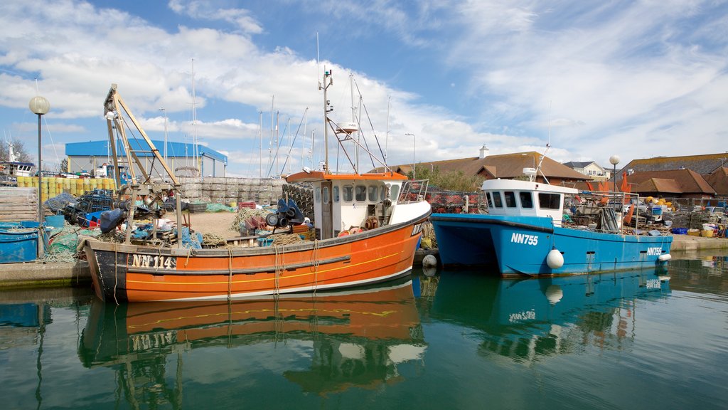 Sovereign Harbour showing a marina