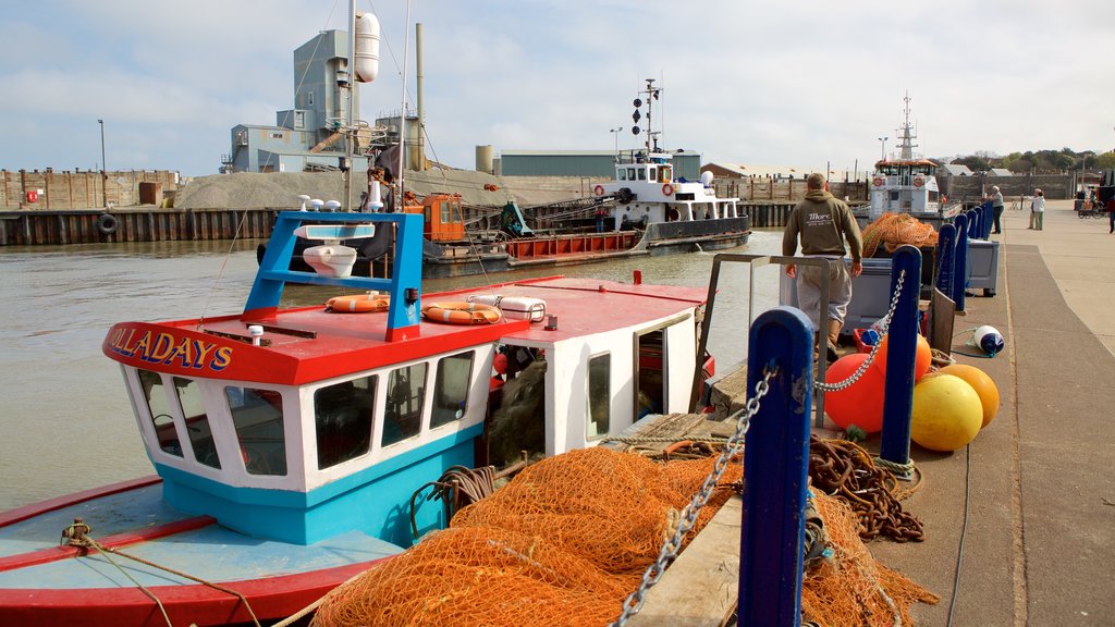 Whitstable Harbour featuring a marina