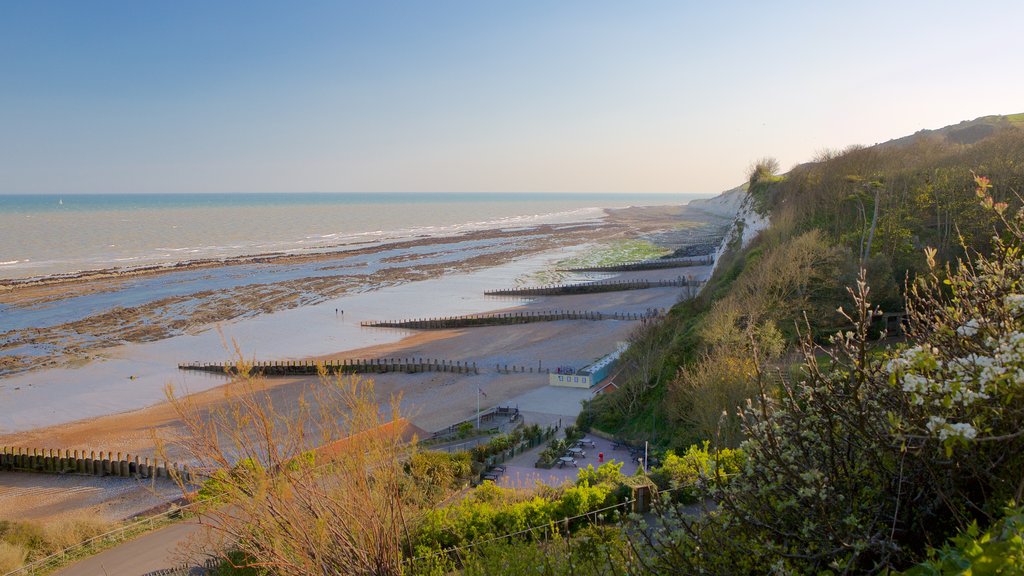 Beachy Head ofreciendo vistas generales de la costa