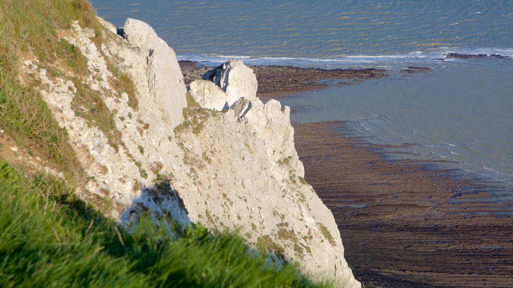 Beachy Head som omfatter udsigt over kystområde