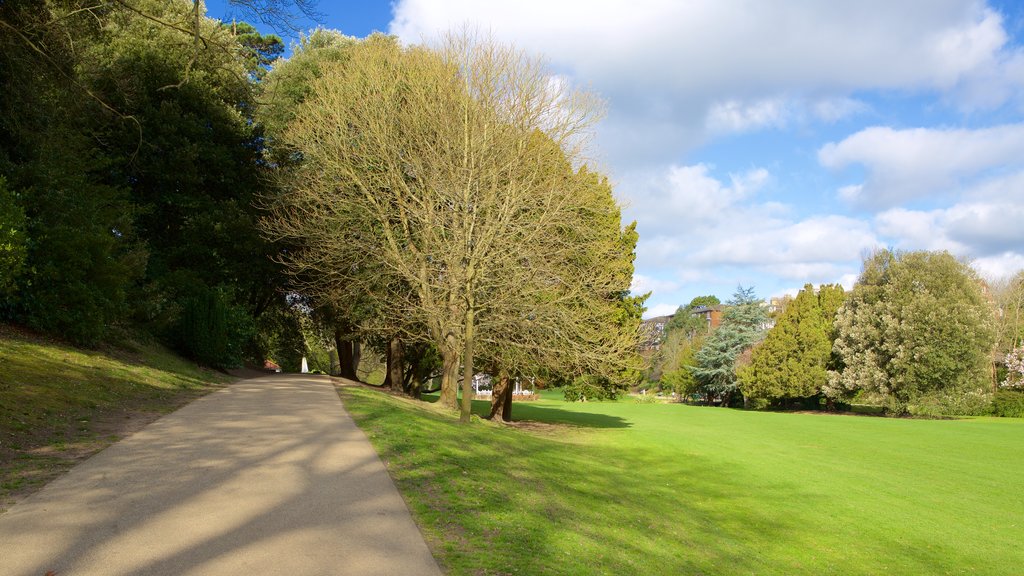 Alexandra Park showing a garden