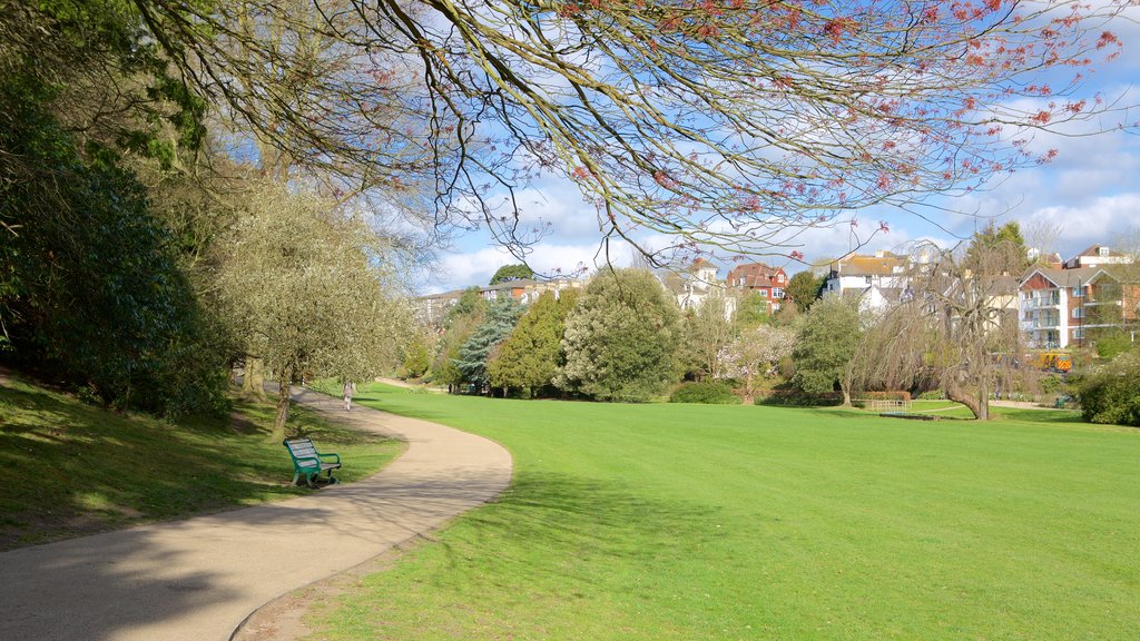 Alexandra Park featuring a garden