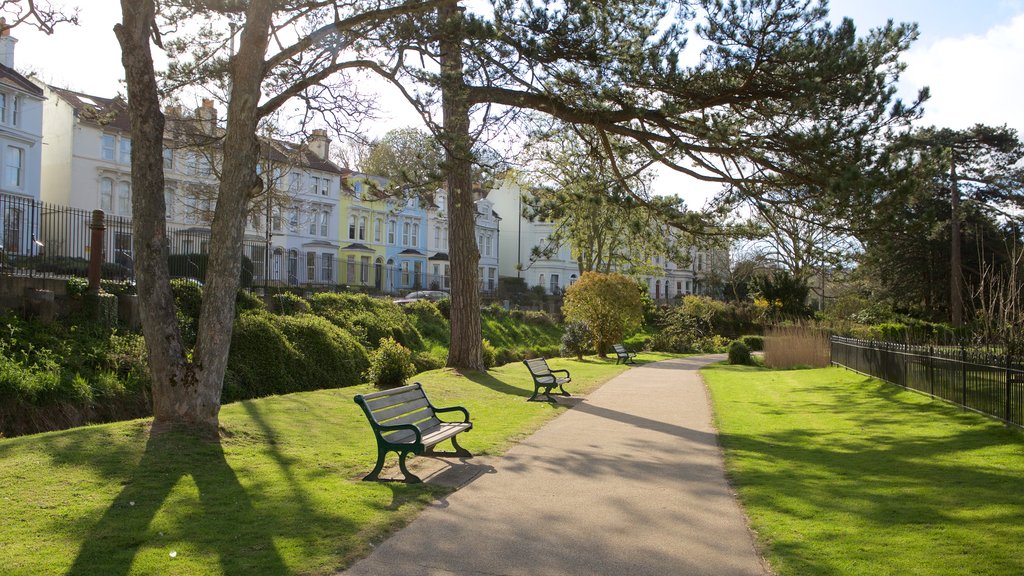 Alexandra Park featuring a garden