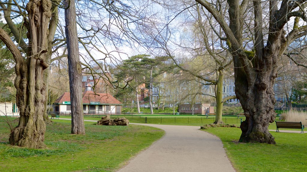 Alexandra Park showing a garden