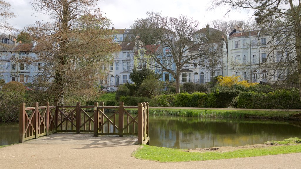 Alexandra Park showing a pond and a garden