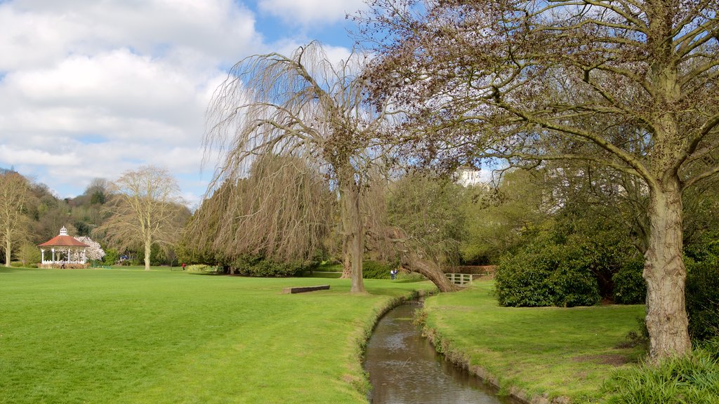 Alexandra Park showing a river or creek and a garden