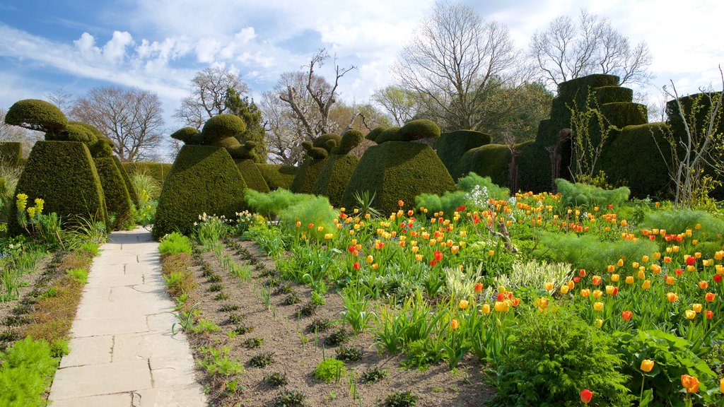 Great Dixter House and Gardens showing flowers and a garden