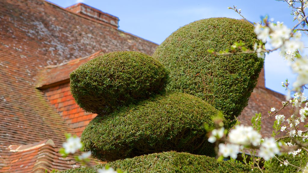 Great Dixter House and Gardens showing a garden