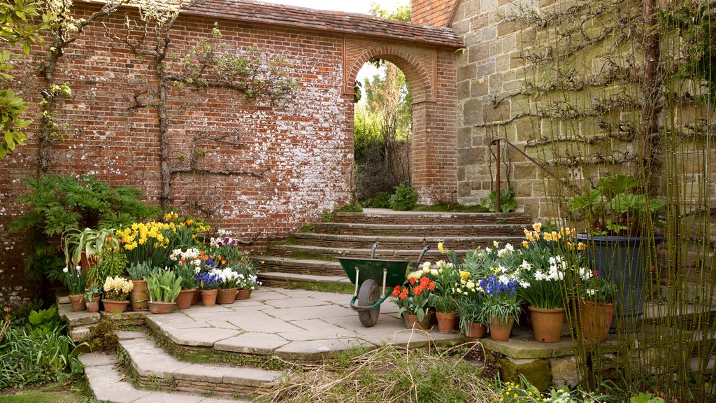 Great Dixter House and Gardens showing a park, flowers and heritage elements