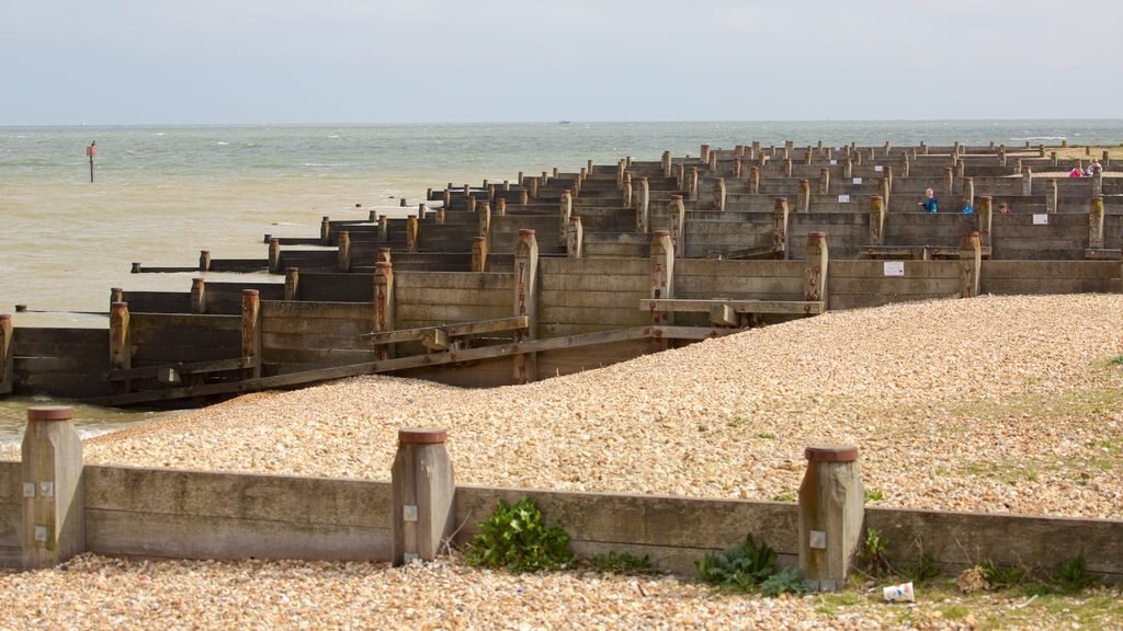 Playa de Whitstable que incluye una playa de guijarros