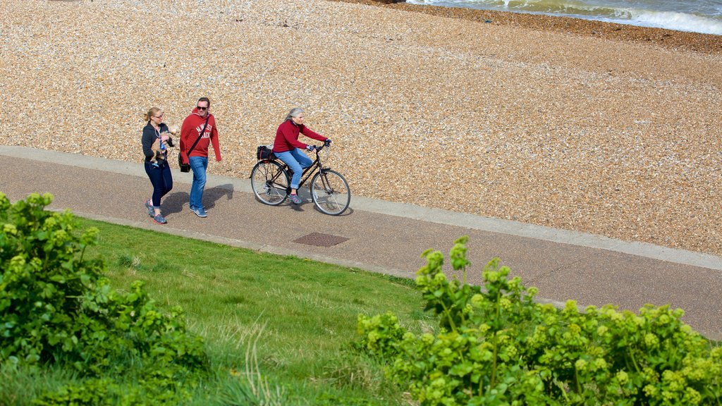 Whitstable Beach toont fietsen en een kiezelstrand en ook een klein groepje mensen