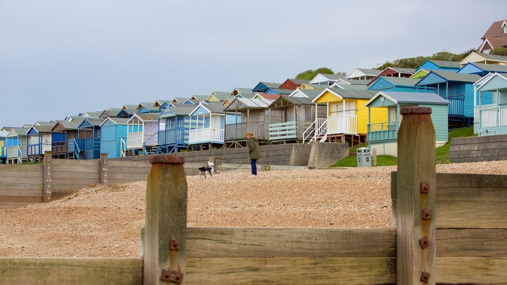 Whitstable Beach featuring a pebble beach