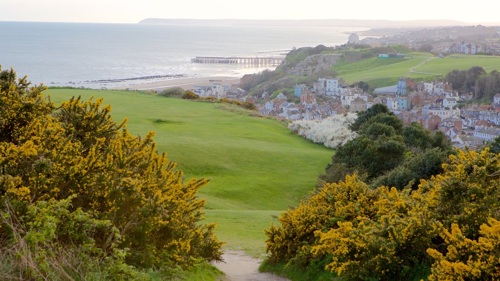 Hastings Country Park showing general coastal views and a garden