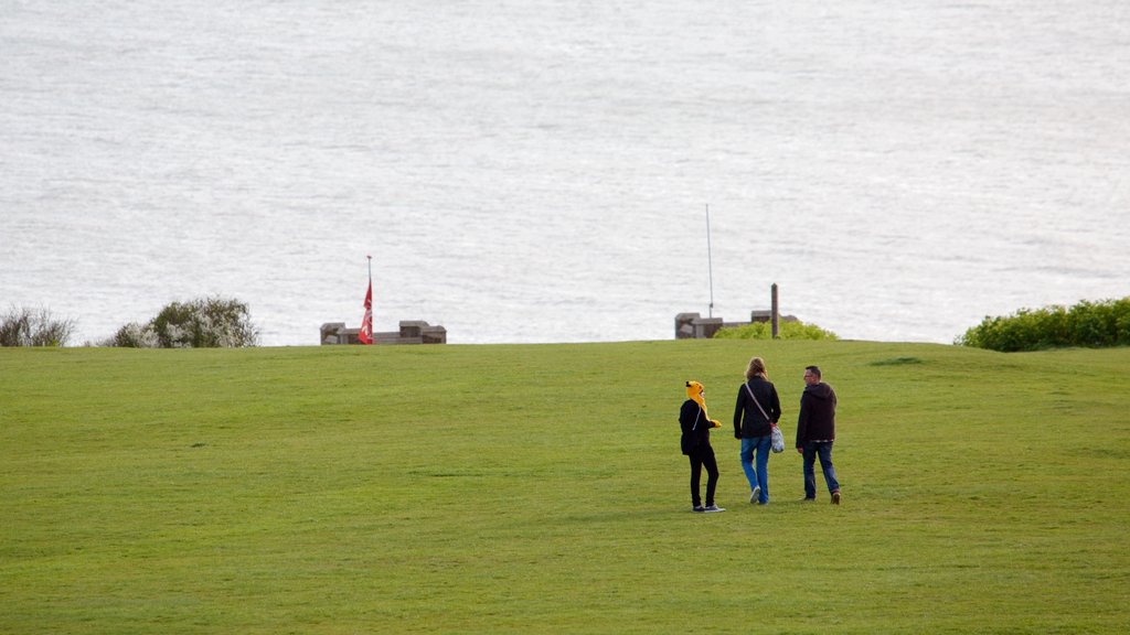 Hastings Country Park featuring a park and general coastal views as well as a small group of people