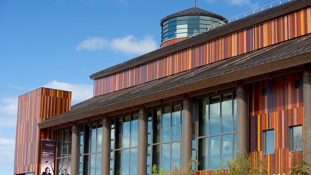 Teatro del Lago showing modern architecture