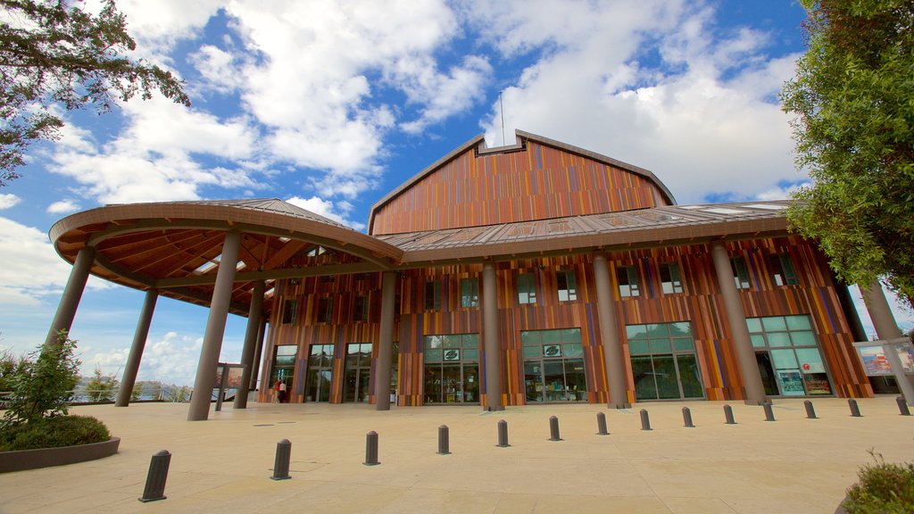 Teatro del Lago showing modern architecture