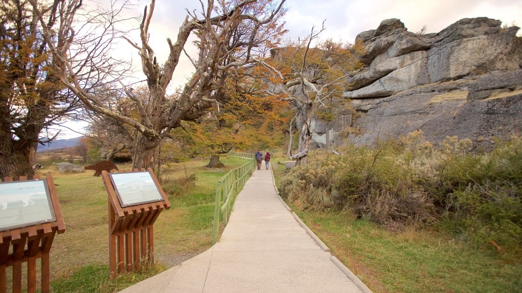 Cueva del Milodón que incluye jardín