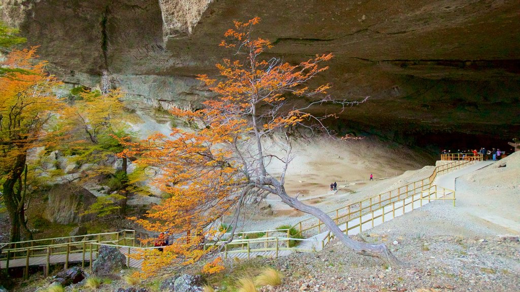 Cueva del Milodon showing caves and a park