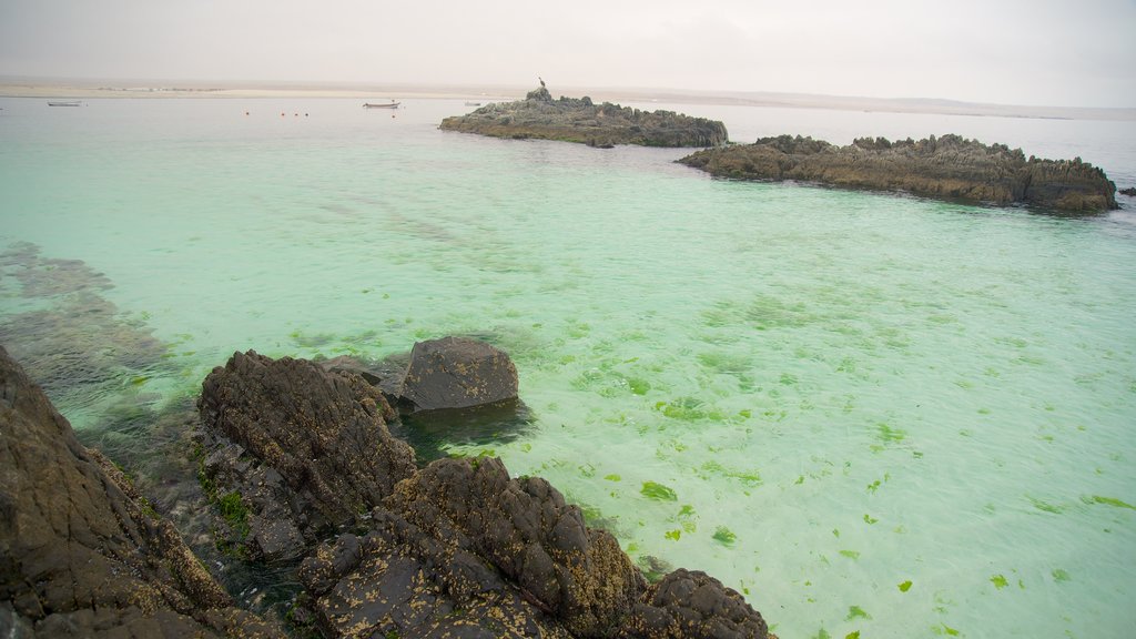 Plage de Bahía Inglesa mettant en vedette paysages côtiers