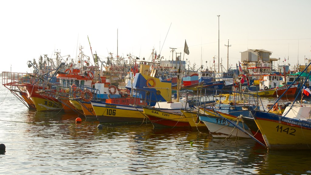 Caldera featuring a marina