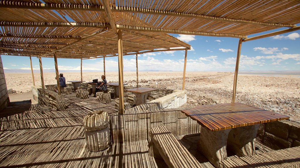 Laguna Chaxa que incluye vista al desierto