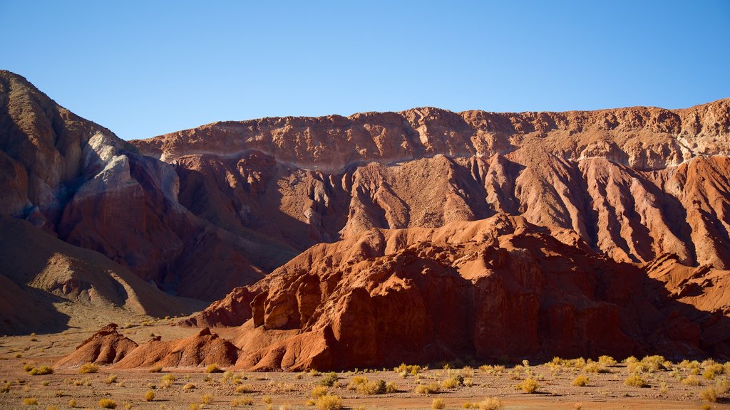 Valle del Arcoiris que inclui paisagens do deserto e paisagem