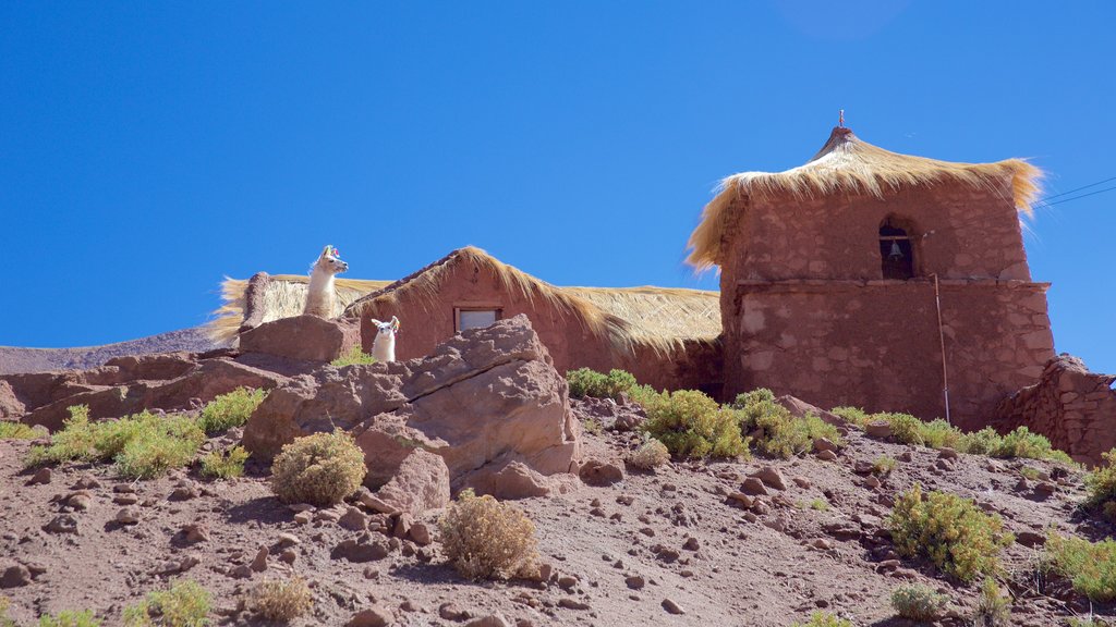 Machuca showing tranquil scenes