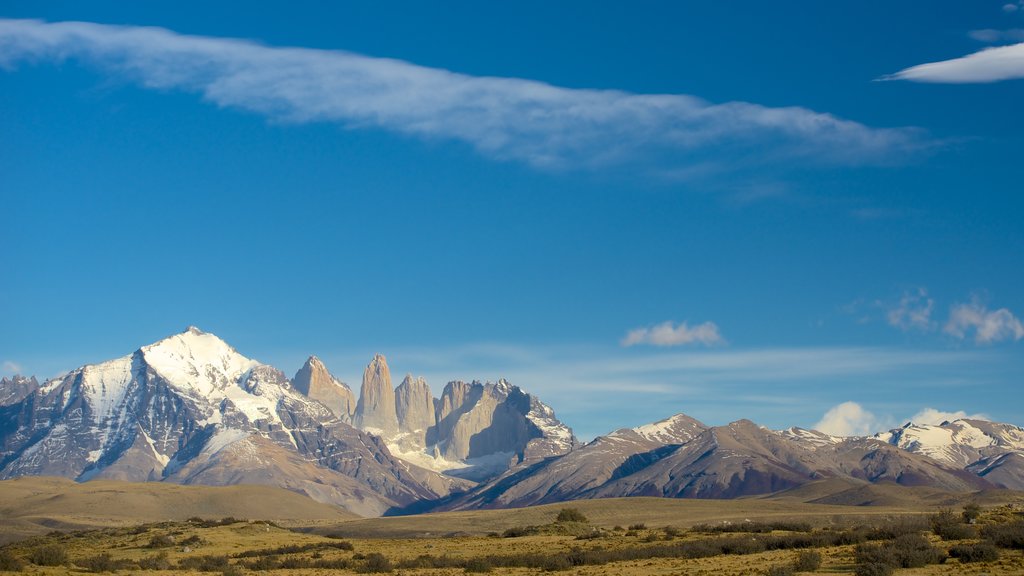 Nationaal Park van Torres del Paine bevat vredige uitzichten, bergen en landschappen