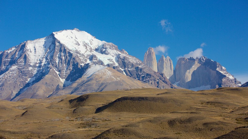 Torres del Paine National Park showing mountains, tranquil scenes and landscape views