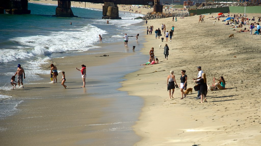 Praia de Acapulco que inclui uma praia de areia assim como um pequeno grupo de pessoas