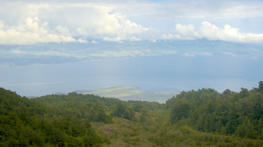 Osorno Volcano which includes mist or fog, forests and landscape views