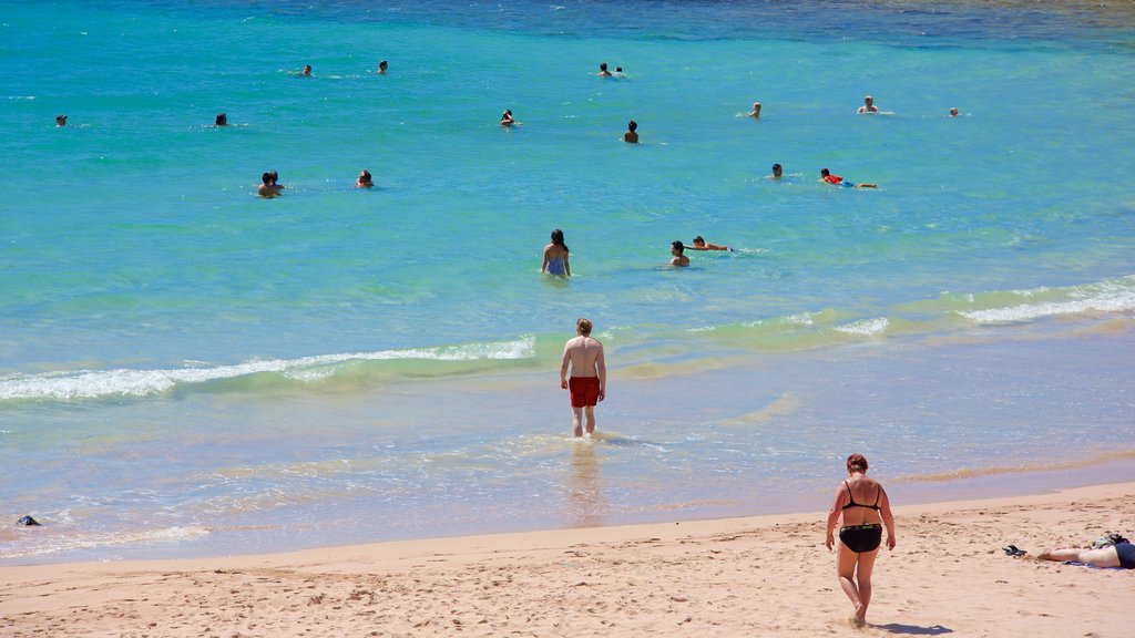 Praia Anakena que inclui uma praia assim como um pequeno grupo de pessoas