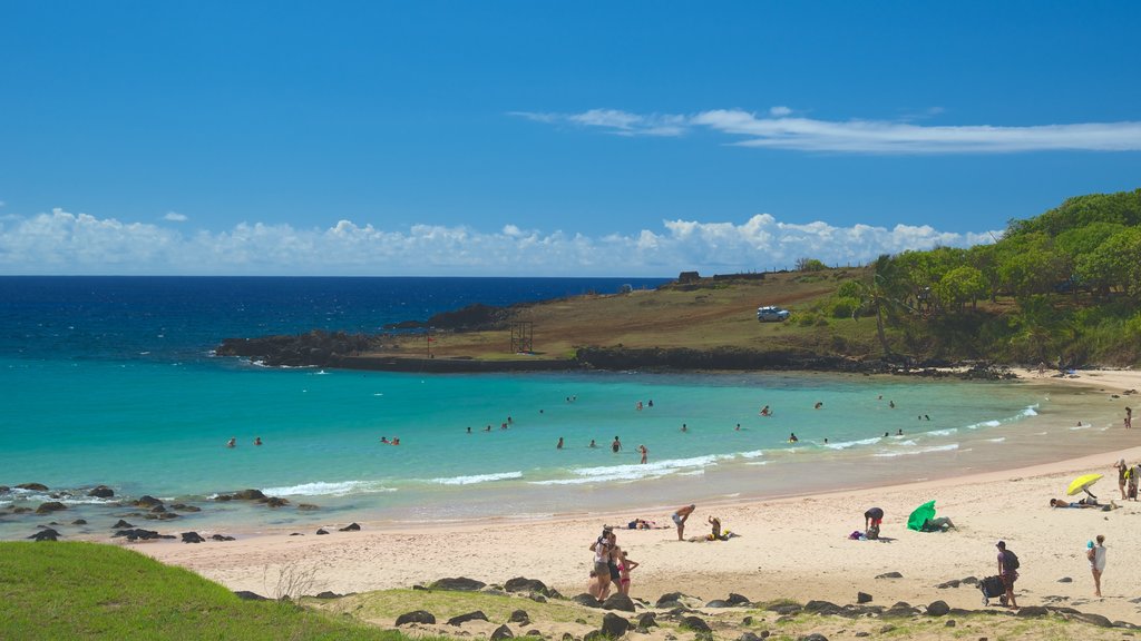 Anakena Beach showing a beach