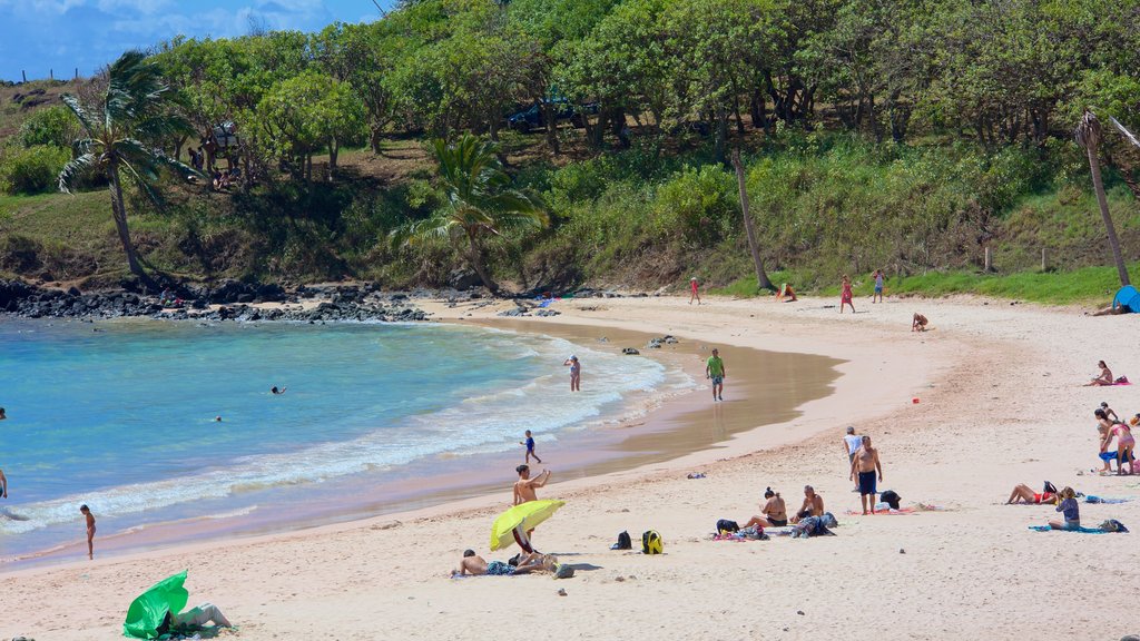 Playa Anakena toont een strand