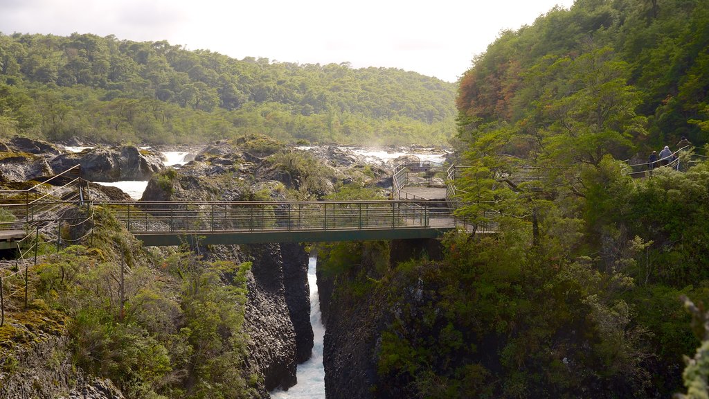 Petrohue Falls showing a river or creek and a bridge