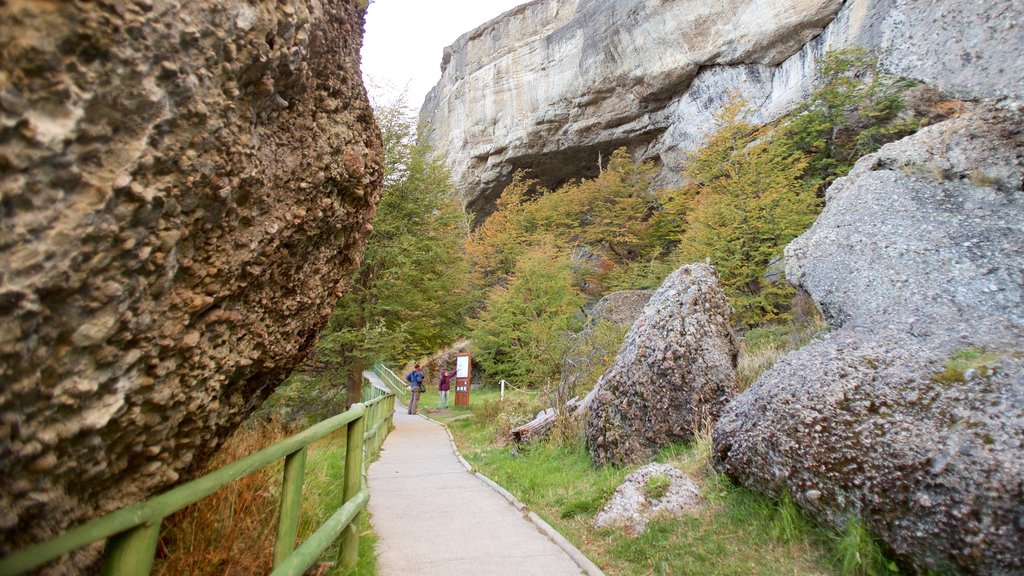 Cueva del Milodon showing forest scenes