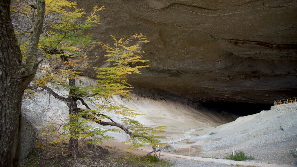 Monumento natural Cueva del Milodón