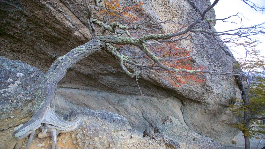 Cueva del Milodon showing tranquil scenes