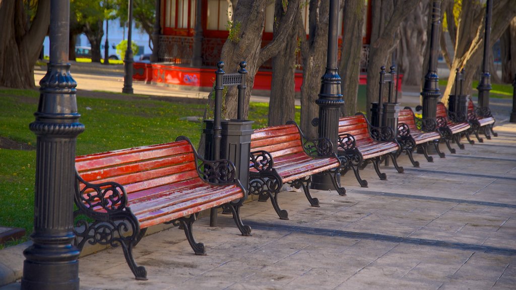 Plaza Munoz Gamero which includes a garden