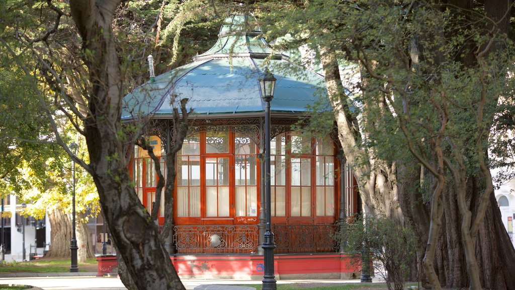 Plaza Munoz Gamero showing a park