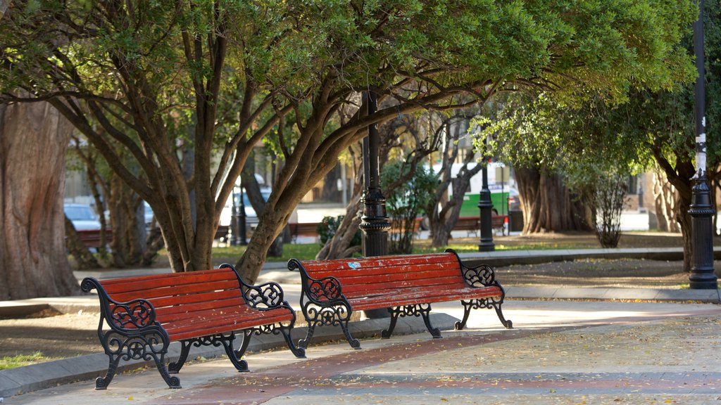 Plaza Munoz Gamero which includes a park