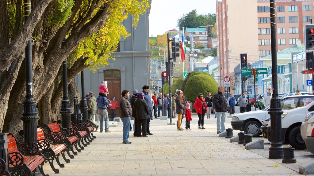 Plaza Muñoz Gamero ofreciendo distrito central de negocios y imágenes de calles