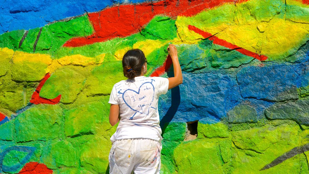 Open Air Museum of Valparaiso showing outdoor art as well as an individual femail