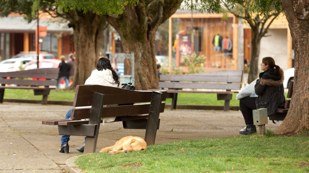 Puerto Varas Plaza de Armas which includes a park as well as a small group of people